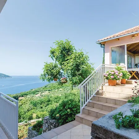 3 Bedroom Beautiful In Apartament Orašac